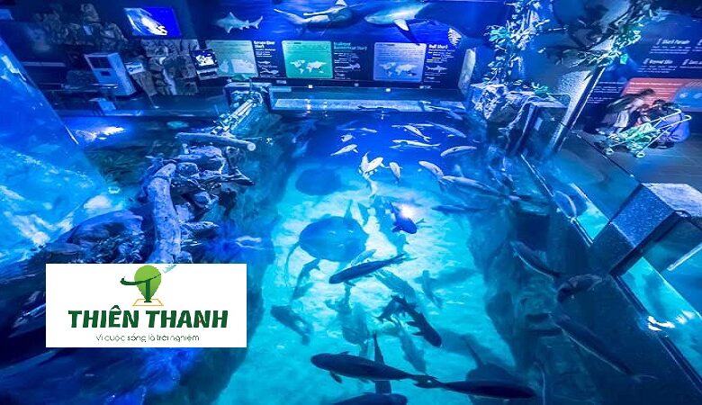 Du Lịch Malaysia - Thủy Cung Aquaria KLCC